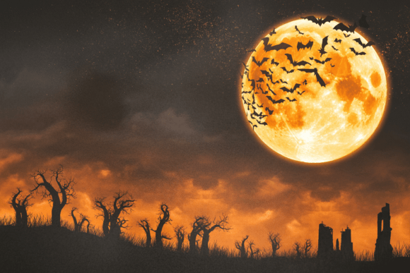 Download Spooky Halloween Night Background Bundle - Spooky Collection
